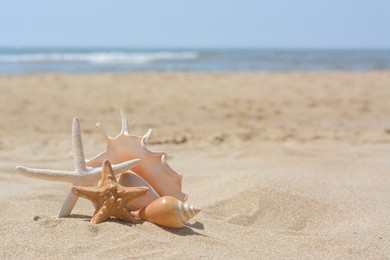 Photo of Beautiful starfishes and sea shells on sandy beach, space for text