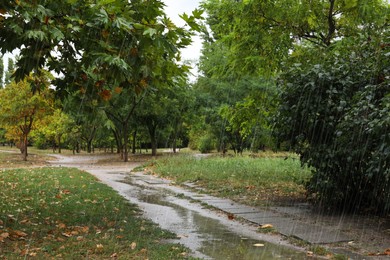 Beautiful view of trees in park during rain