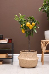 Simple room interior with small potted lemon tree  and console table