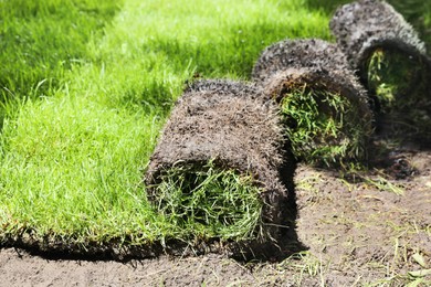 Rolled grass sod on ground in garden
