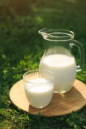 Jug and glass of tasty fresh milk on green grass outdoors