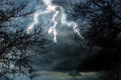Dark cloudy sky with lightning striking trees. Thunderstorm
