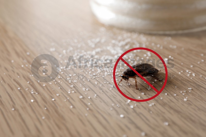 Cockroach with red prohibition sign on wooden table. Pest control