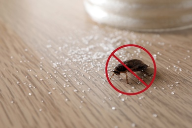 Cockroach with red prohibition sign on wooden table. Pest control