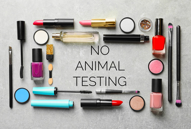 Cosmetic products and text NO ANIMAL TESTING on grey background, flat lay