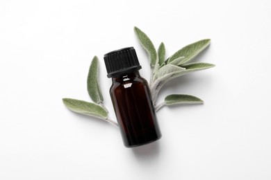 Bottle of essential sage oil and leaves on white background, top view