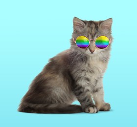 Funny cat in stylish sunglasses with rainbow lenses on cyan background