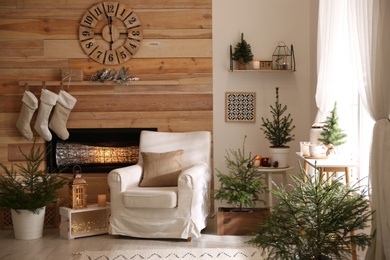 Potted fir trees and Christmas decorations in room with fireplace. Stylish interior design