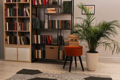 Cozy home library interior with collection of different books on shelves and beautiful houseplant
