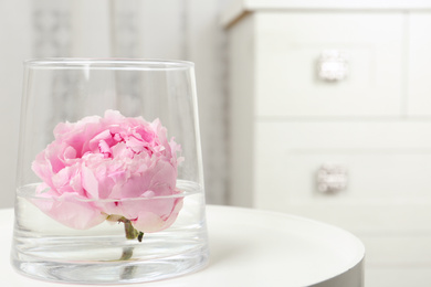Beautiful pink peony bud in vase on white table. Space for text