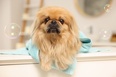 Photo of Cute Pekingese dog with towel and bubbles in bathroom. Pet hygiene