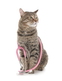 Cute cat with stethoscope as veterinarian doc on white background