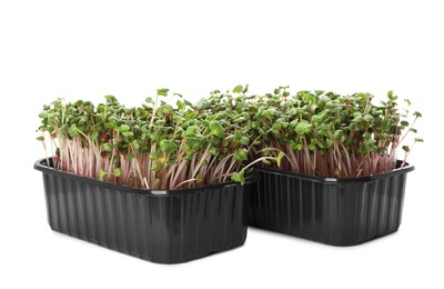 Fresh radish microgreens in plastic containers on white background