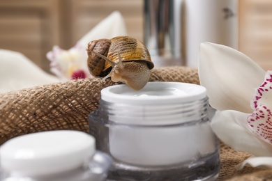 Photo of Snail and jar of cream on burlap, closeup