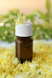 Bottle of essential oil on linden blossoms against blurred background, closeup