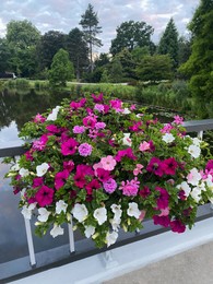 View of beautiful flowers on bridge over water