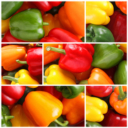 Image of Collage with different ripe bell peppers, closeup