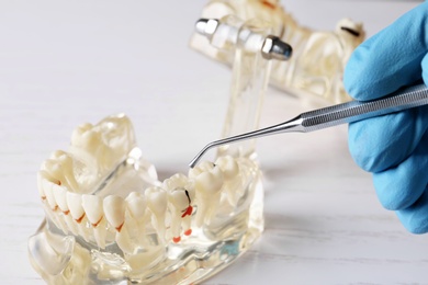 Dentist working with model of oral cavity with teeth at table, closeup