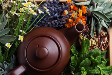 Teapot surrounded by different herbs on wooden tray, top view