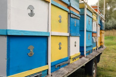Many colorful bee hives at apiary outdoors, closeup