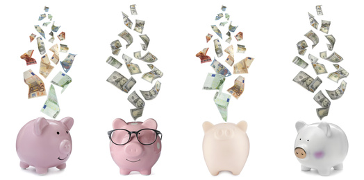 Money falling into different piggy banks on white background. Banner design 