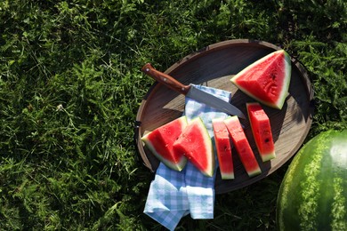 Tasty ripe watermelons on green grass outdoors, flat lay. Space for text