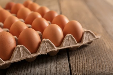 Photo of Fresh raw chicken eggs in carton on wooden table, closeup
