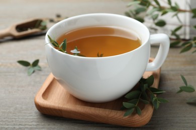 Cup of aromatic eucalyptus tea on wooden table, closeup