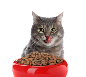 Cute gray tabby cat and feeding bowl with dry food on white background. Lovely pet