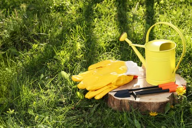 Photo of Pair of gloves, gardening tools and watering can on wooden stump among grass outdoors, space for text