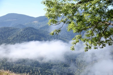 Photo of Picturesque view of foggy mountain in morning