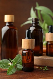 Bottles of essential oils and fresh herbs on wooden table