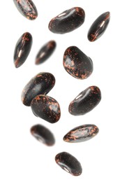 Many black beans falling on white background. Vegan diet 
