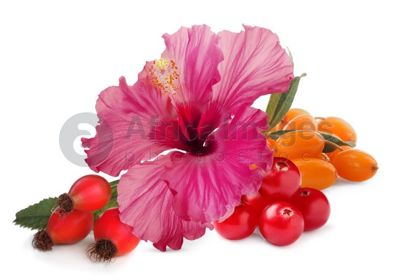 Beautiful hibiscus flower and different ripe berries on white background