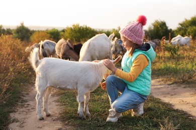 Farm animal. Cute little girl petting goatling on pasture