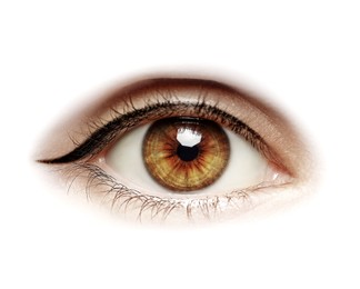Image of Beautiful human eye isolated on white, closeup