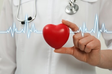 Doctor holding red heart, closeup. Cardiology concept