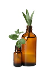Bottle of essential oil with mint and rosemary isolated on white