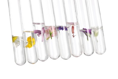 Test tubes with different flowers on white background. Essential oil extraction