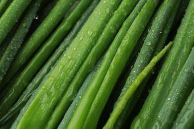 Photo of Fresh green spring onions with water drops as background, closeup