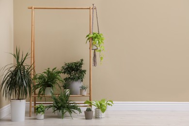 Photo of Many different houseplants near beige wall in room. Space for text