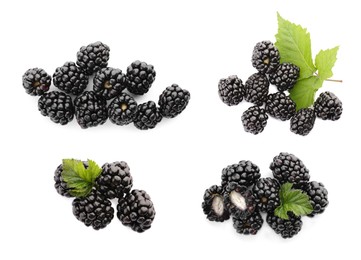 Set with delicious ripe blackberries on white background
