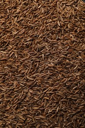 Aromatic cumin seeds as background, top view