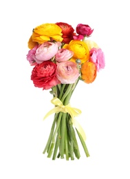 Beautiful bouquet of ranunculus flowers isolated on white