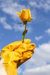 Photo of Woman in gardening glove holding rose against blue sky with clouds, closeup