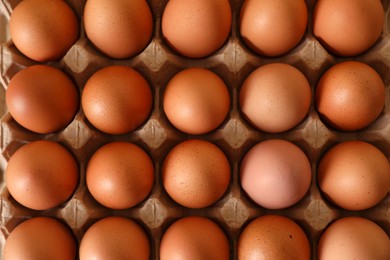 Photo of Raw chicken eggs in carton as background, top view