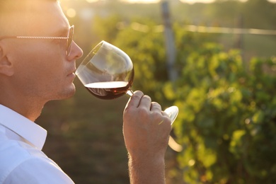 Handsome man tasting wine in vineyard on sunny day, closeup