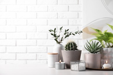 Photo of Beautiful Scindapsus, Aloe and Cactus in pots with decor on grey table against white brick wall, space for text. Different house plants