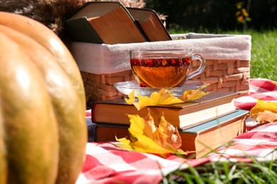 Books and tea with hawthorn berries outdoors. Autumn atmosphere