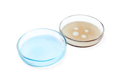 Photo of Petri dishes with color liquids on white background